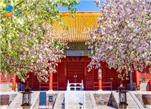 Tour Du Lịch Trung Quốc 7N6Đ Bắc Kinh - Thượng Hải - Hàng Châu - Tô Châu